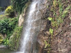-鸿山公园