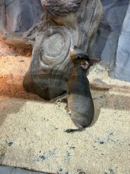 -Zoolung Zoolung动物主题公园(海信广场店)