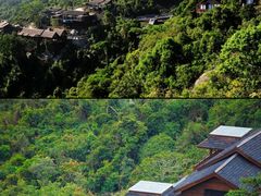 -三亚亚龙湾人间天堂鸟巢度假村