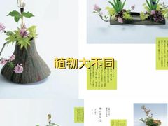 -今日陶艺(富力广场店)
