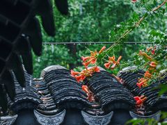-太平天国历史博物馆(瞻园)