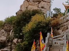 -大芦花风景区