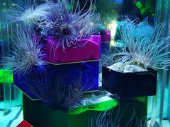 -太平洋海底世界