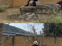 -杭州野生动物世界