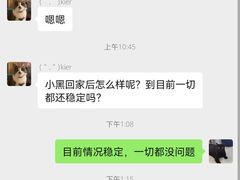 -凯特喵百思猫专科医院