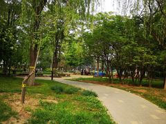 -回龙观体育文化公园