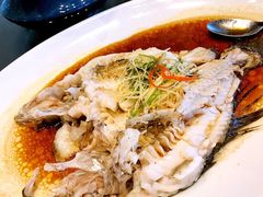 -彩丰楼·中餐厅(国家会展中心上海洲际店)