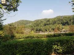 -大屏嶂森林公园