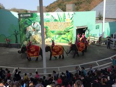 -大连森林动物园