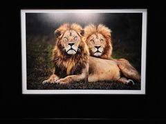 -罗红摄影艺术馆