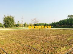 -迪茵湖田家舍生态农场