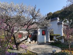 -无锡梅园公园