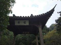 -龙井村