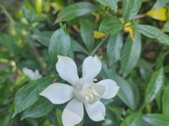 -成都杜甫草堂博物馆