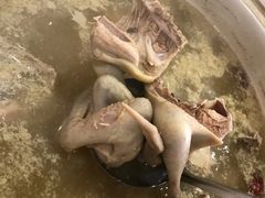 -鸽鸟轩(石岐店)