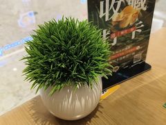 -mango tree芒果树泰国餐厅(青岛万象城店)