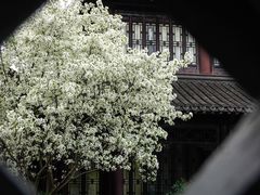-莫愁湖公园