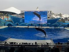 -上海海昌海洋公园
