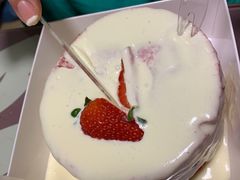 -糕小爱·动物奶油生日蛋糕定制(合肥总店)