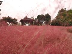 -南湖湿地公园