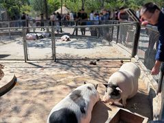 -石家庄市动物园