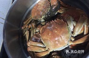 Crab King Gucheng Lake Female Crab