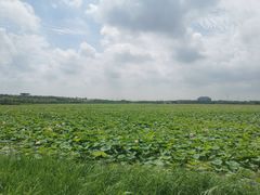 -天津东丽湖风景区