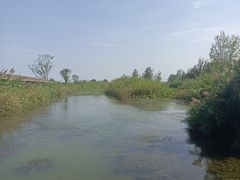 -泗洪洪泽湖湿地景区