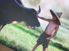 -湘邻呷铺·田园家宴(汉基广场店)