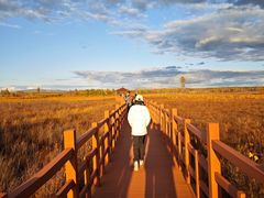 -五营红松林海景区