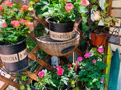 -Rabbit Cafe私房西餐甜点咖啡(栖霞路店)