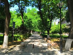-山东大学(趵突泉校区)