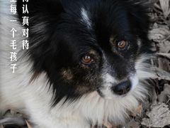 -万达广场(渭南高新店)