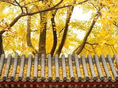 -中山公园