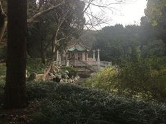 -叶家花园