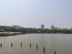 -莲花池公园