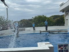 -西海国立公园九十九岛水族馆