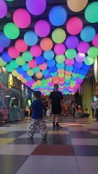 -宝燕乐园(闵行旗舰店)