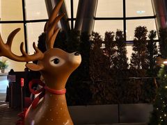 -深圳湾万象城(南山店)