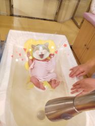 -爱月时月子会所·贝萌店