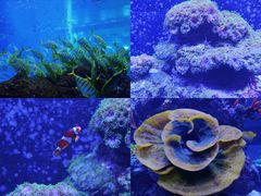 -成都浩海立方海洋公园