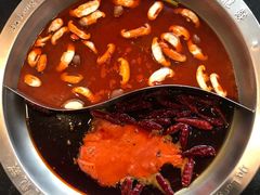 -大龙燚火锅(春熙店)