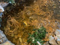 -綱元·海鲜豆捞(明州里店)