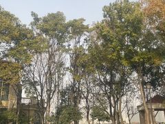 -江南雅厨(李公堤店)