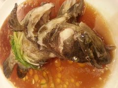 石斑鱼-海逸海鲜酒家(古北店)