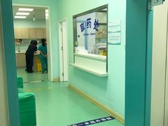 -北京观赏动物医院·24小时大型综合·猫专科·异宠专科
