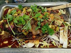 重庆烤鱼-重庆火锅水库鱼庄(南油店)