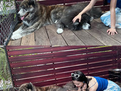 -TrueLove @ Neverland (Husky Cafe)