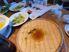 -滇铺子•云南特色菜•野生菌季(南亚福景路·海埂大坝店)