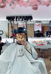 点击看大图 -Mix Boom Hair salon
